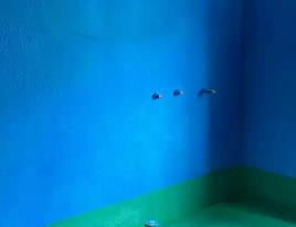 苏尼特右卫生间测漏水多少钱